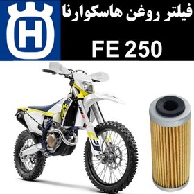 تصویر فیلتر روغن هاسکوارنا FE 250 