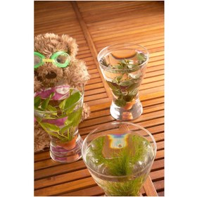 تصویر گلدان ایکیا Vase