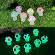 تصویر شب نما طرح قارچ 