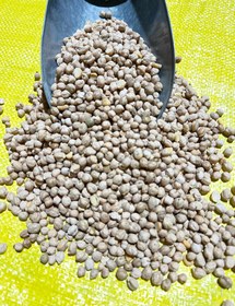 تصویر نخود فلافلی 