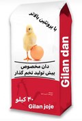 تصویر دان پیش تولید مرغ تخم گذار 