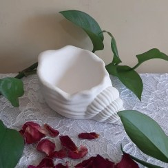 تصویر ظرف دکوری بتنی طرح صدف حلزونی 