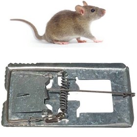 تصویر تله موش کوچک 