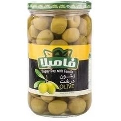 تصویر زیتون شور درشت ویژه فامیلا 660 گرم 