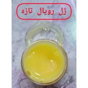 تصویر ژل رویال تازه و اصل(20گرمی)خرید از زنبوردار( 1 گرم24 تومن) 