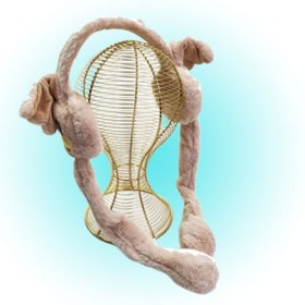 تصویر گوشگیر اردکی 