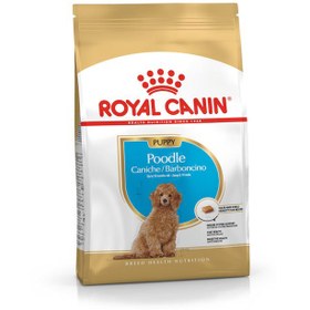 تصویر غذای خشک توله سگ پودل رویال کنین 3 کیلویی Royal Canin Poodle Puppy 3kg