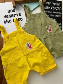 تصویر بیلر رنگی داینو – کد ۱۴-۱۳ 