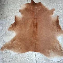 تصویر پوست مویی گاوی بزرگ چرم خز 