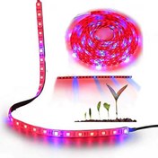 تصویر نواری LED رشد گیاه 