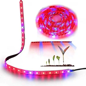 تصویر فروشگاه پرتو الکترونیک