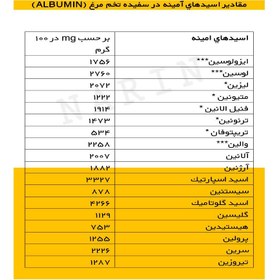 تصویر پودر سفیده تخم مرغ پوتن / آلبومین پروتئین نارین 1000 گرمی 