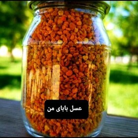 تصویر گرده گل چای 