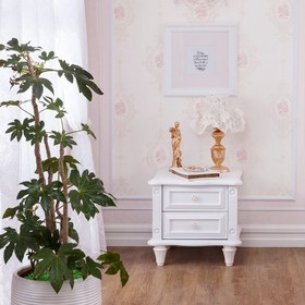 تصویر پاتختی کویین 