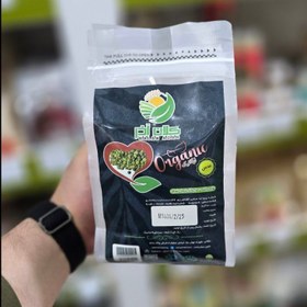 تصویر عدس ارگانیک کلان آذر 