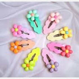 تصویر گیره دالبری گل بزرگ 