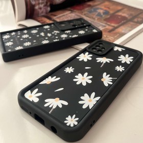 تصویر کاور سولید بابونه 