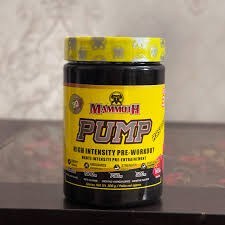 تصویر مکمل پمپ ماموت 