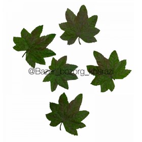 تصویر برگ چنار 5 تایی 