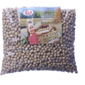 تصویر لوبیا سویا دنیا 