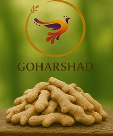 تصویر زنجبیل قلم - 500 گرم 