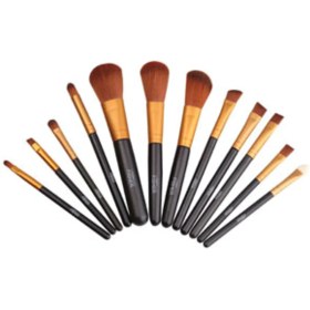 تصویر گلدن فیشر ست براش 12 عددی golden fisher 12 brush set 