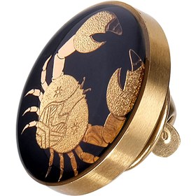 تصویر بج سینه تیر 