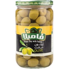 تصویر زیتون درشت بی هسته 650 گرمی فامیلا 