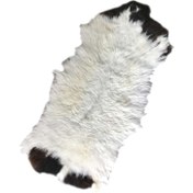 تصویر پوست گوسفند 