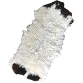 تصویر پوست گوسفند 