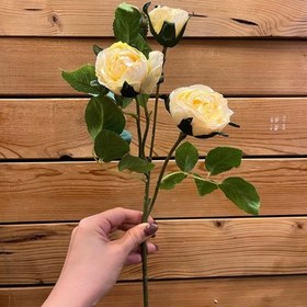 تصویر شاخه گل مصنوعی رز 