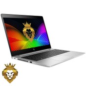 تصویر لپ تاپ اچ پی الیت بوک HP EliteBook 745 G6 Ryzen 7 3700U-8-256-2GB 