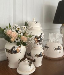 تصویر جینجر جار طرح هرمس 