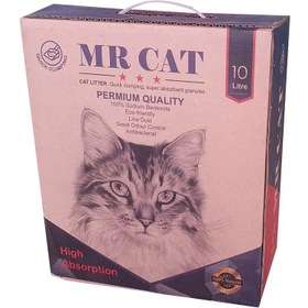 تصویر خاک گربه مستر کت مدل اکسیژن MR CAT 