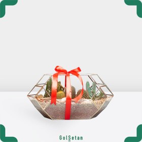 تصویر تراریوم کمند کد S07 