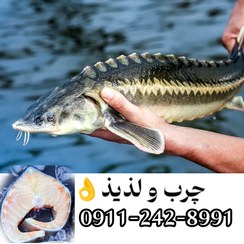 تصویر گوشت ازون برون چرب و لذیذ 