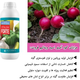 تصویر کود ویتالیم فورت فروغ دشت Fertilizer Vitalim Fort Forough Dasht