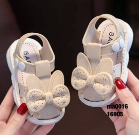 تصویر صندل پاپیون 