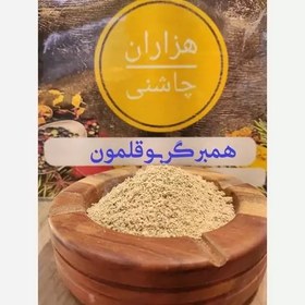 تصویر ادویه همبرگر مرغ و بوقلمون درجه یک هزاران چاشنی 