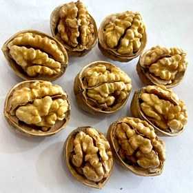 تصویر گردو چینی 