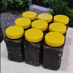 تصویر رب آلوچه ترش گیلان | تازه و ارگانیک | یک کیلو 