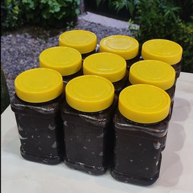 تصویر رب آلوچه ترش گیلان | تازه و ارگانیک | یک کیلو 