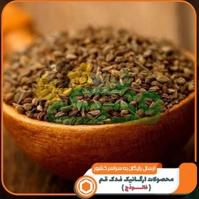 تصویر پودر زنیان ممتاز فدک (100گرم) 