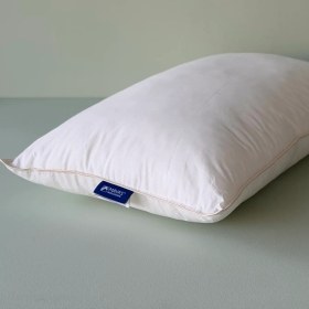 تصویر بالش مدل Bamboo Maya برند Othello 