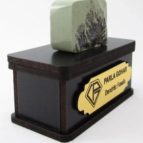 تصویر سنگ شجر فسیلی (دندریتی ) کد 2205 