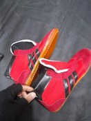 تصویر کفش کشتی اسیکس کامبت 