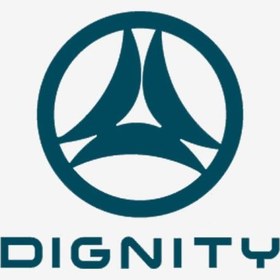 تصویر بازویی طولی اکسل عقب راست Dignity 