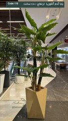 تصویر درختچه بابا آدم مصنوعی سه تنه سایز ۱۸۰ سانت 