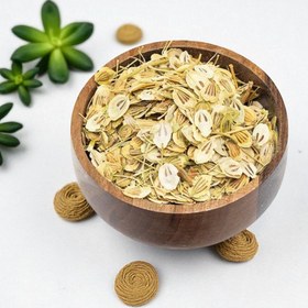 تصویر گلپر درشت 