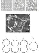 تصویر فرایند تف جوشی پلاسمای جرقه ای SPS (spark plasma sintering): بخش اول 